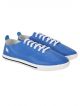 Newton Sneakers For Men  (Blue)