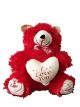 Teddy Bear with i love you Heart (Red)