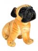Soft Toys Brown Stuffed Puppy Pug Dog 