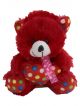 Stuffed Soft  teddy bear with heart
