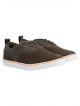 PROVOGUE PAUL Casual Shoes For Men  (Brown)