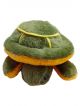 Stuffed Soft Plush Soft Toy Green Tortoise 