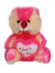 Cute Just For You heart Pink teddy Bear
