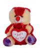 Cute Just For You heart Red teddy Bear