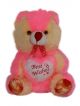 Cute Best Wishes heart Pink teddy Bear