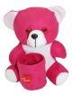 cute small teddy bear pen stand(Rani color)