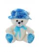 Cute Cap Teddy Bear 