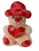 Teddy bear with Red cap and red heart soft toy for kids (40CM)