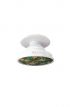 Tropical Green Print PopSocket  Grip & Stand for Phones and Tablets 
