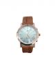 Quartz wrist watch with brown strap and cream color dial case for men
