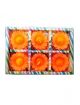 Flower (Sunflower), shape Candle,  Pack of 6 candles (Orange)